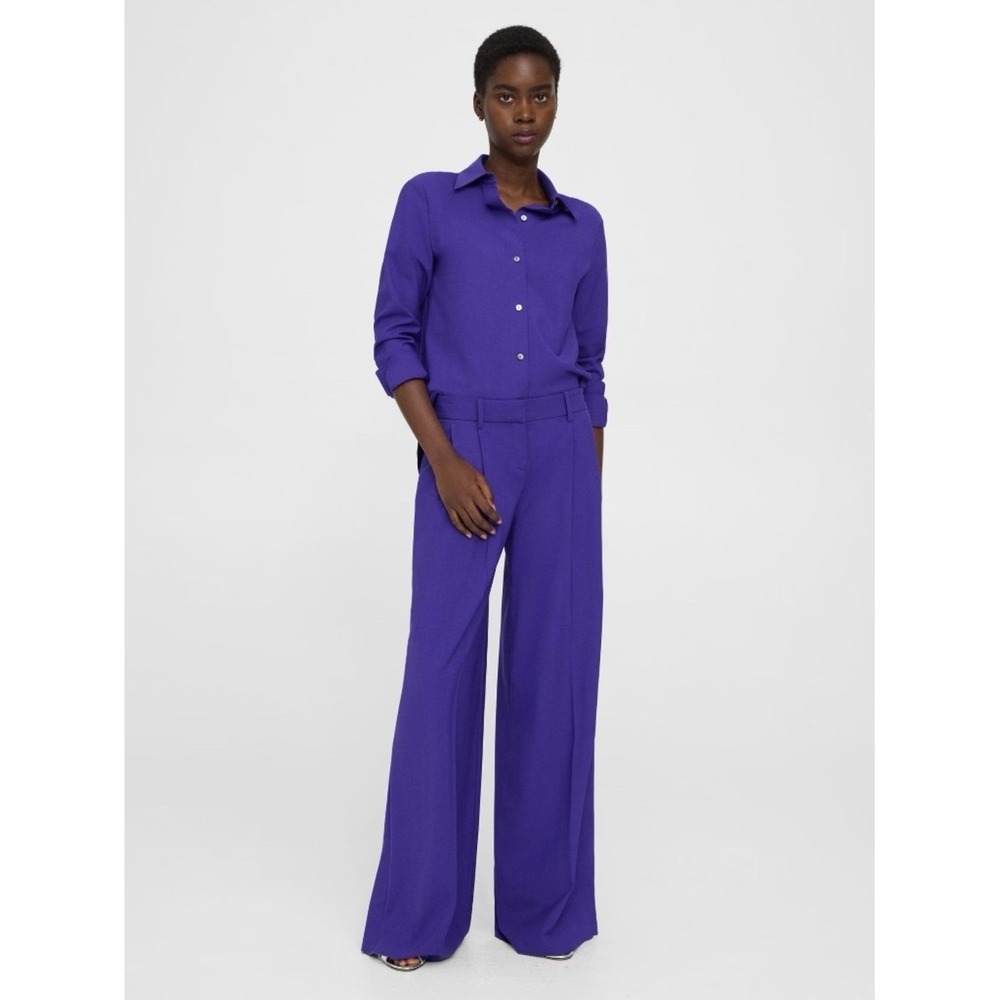 Theory Pleated Low-Rise Wide Leg Pant in Good Wool - Blue Iris (Purple) | Size 2 - Picture 2 of 12